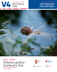 V4 filmový festival