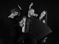 Check Accordion Trio
